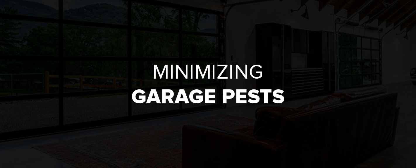 Minimizing Garage Pests